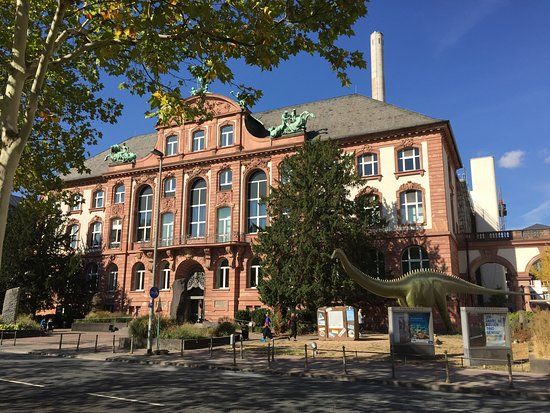 Naturmuseum Senckenberg